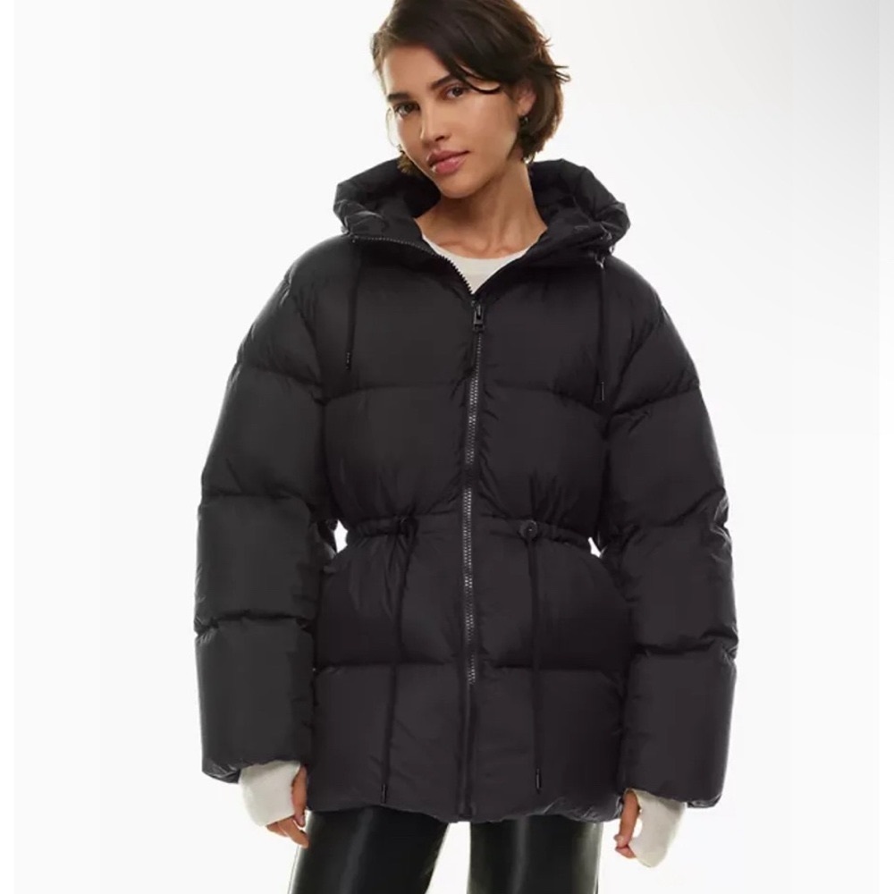 Aritzia Puffer Jacket